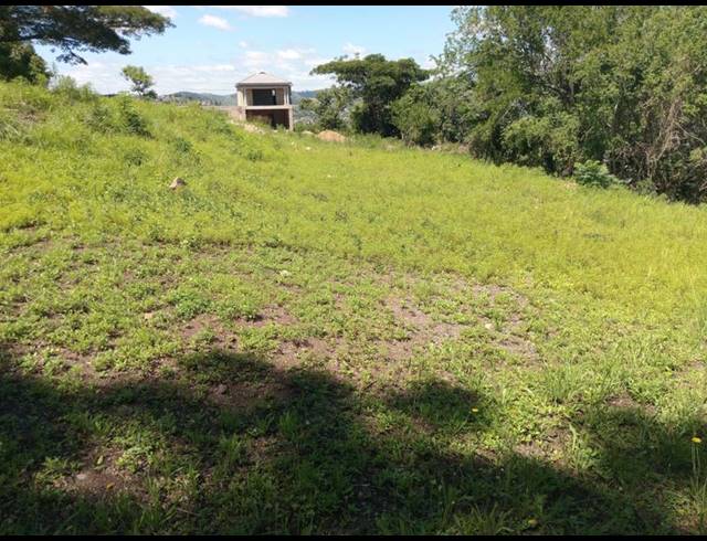 LAND FOR SALE IN NAGINA